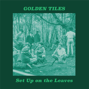 album cover: Set Up on the Leaves
