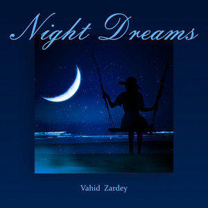 Vahid Zardey