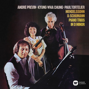 Piano Trios in D minor cover
