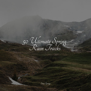 50 Ultimate Spring Rain Tracks album