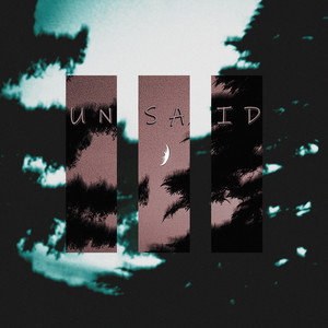 Unsaid by lst drm