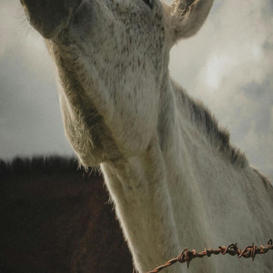 variedades del sur - Hermosa luna