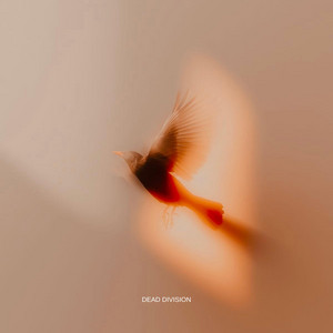 Limbo by Dead Division