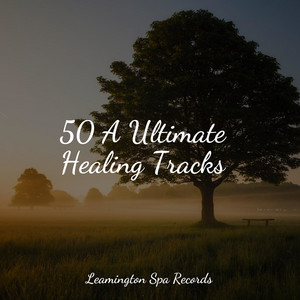 50 A Ultimate Healing Tracks album