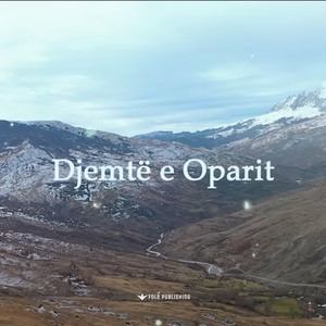 Artiol Sulejmanasi - Djemte e Oparit