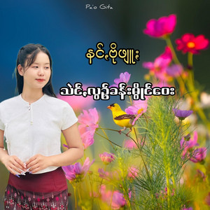 Pa'o Gita - သဲင်ꩻလွဥ်ခန်းမွိုင်ဝေး - နင်ꩻဗိုဖျူႏ