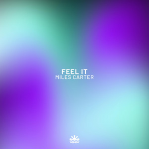Feel It by Miles Carter