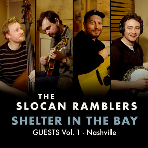 Shelter in the Bay album cover