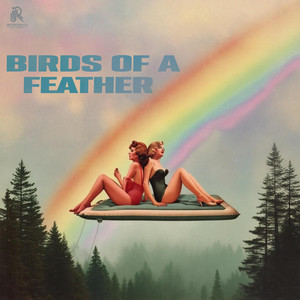 Strummit - Birds Of A Feather (Electric Guitar)