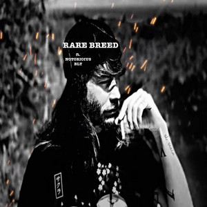 Rare Breed by Locke Aizen, NOTORIOUS BLT