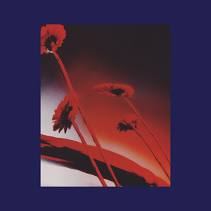 Betelmire — Preston Parker (2026)