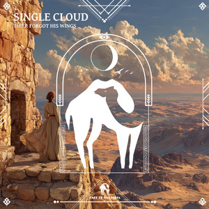 A Single Cloud