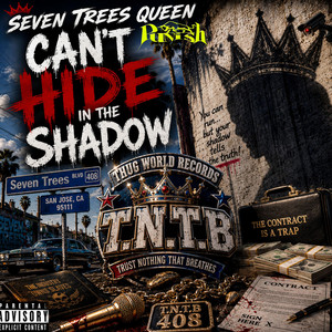 Cant Hide in the Shadow by Seven Trees Queen, Punish