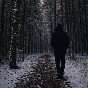 The Quiet Walk by Timon Kurutjidis