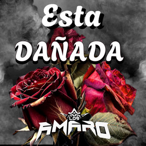 Está Dañada