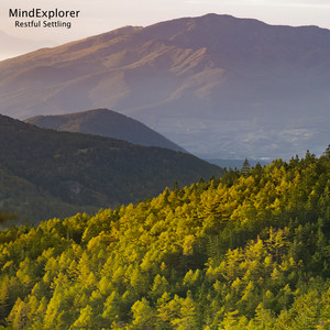 Restful Settling by Mind Explorer