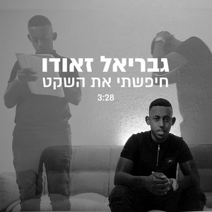 חיפשתי את השקט by גבריאל זאודו
