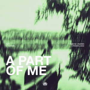A Part Of Me by BNHM, Feather