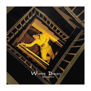 White Daisy by Brighton Taylor