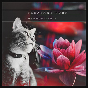 Pleasant Purr by harmonizable