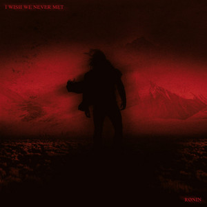 I WISH WE NEVER MET by RØNIN