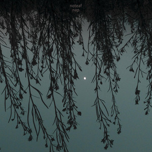 noteaf — Nap