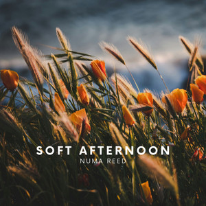 Soft Afternoon by Numa Reed