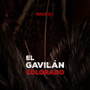 La Inolvidable Banda Agua De La Llave - El Gavilán Colorado