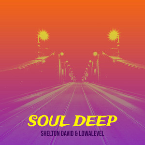 Soul Deep by Shelton David, LowaLevel