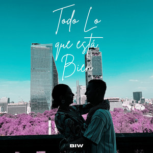 TODO LO QUE ESTA BIEN by BIW