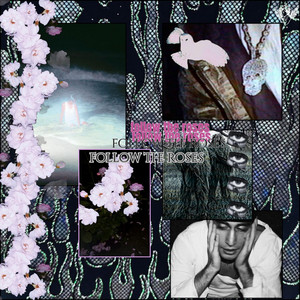 Follow The Roses by Tommy Dash