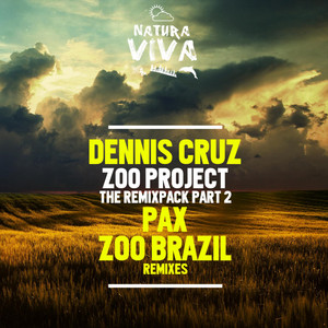 Zoo Project - Pax Remix cover art