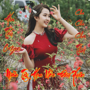 Le Tan Luc - Miền Tây Hẹn Ước Đầu Xuân - Hòa Tấu Organ (Cha Cha Cha Thái)
