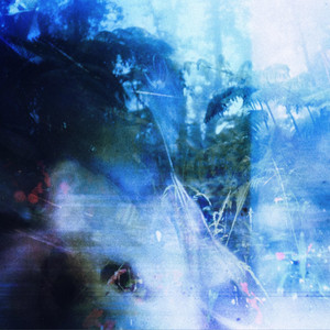 Rainforest by XERIA