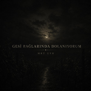 Gesi bağlarında dolanıyorum by MRT UYR