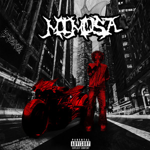 Portada de mimosa
