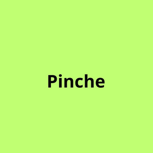Dj Pato09 - Pinche