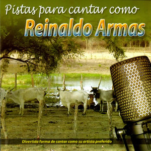 Super Tamarindo All Stars - Mi Amigo el Camino
