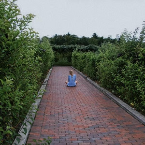 Boston and Back by Leah Rose