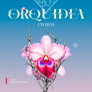 ORQUIDEA CATTLEYA by LAVA J