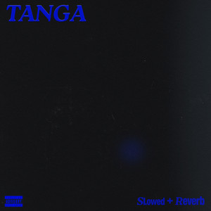 TANGA (Slowed+Reverb) by Rvso