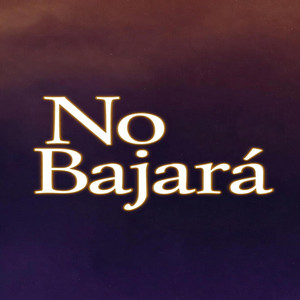 No Bajara by Estambre Inc