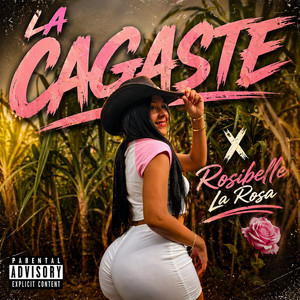 La Cagaste by Rosibelle La Rosa