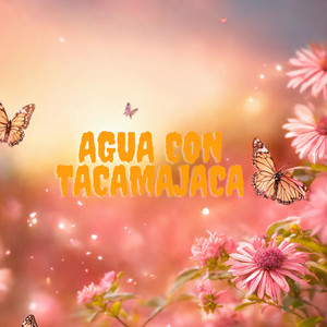 Son Paraná & Los Andinenses - Agua Con Tacamajaca