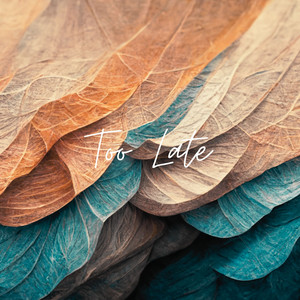Too Late by Malcolm Holmes