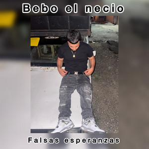La Mata de Mango by Bebo el Necio