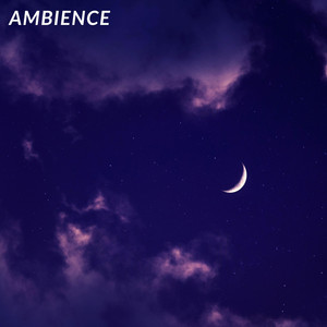Ambience by Organpu