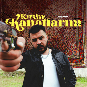 Kırılır Kanatlarım
