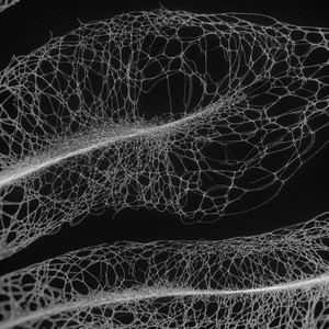 NORTH - Shadow Child Remix by The Kite String Tangle, Shadow Child