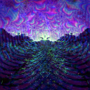 Island in the Sky by Psythøn